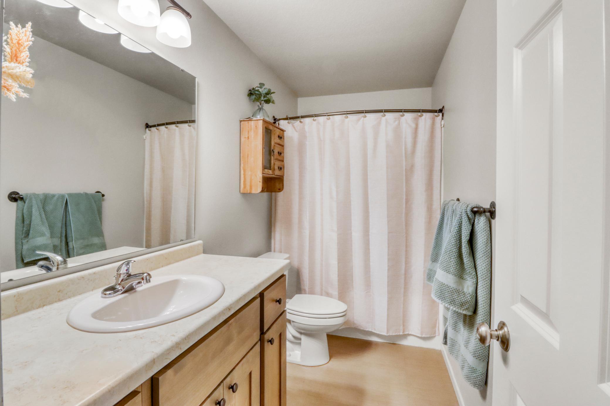 Basement Bathroom1_1.JPG