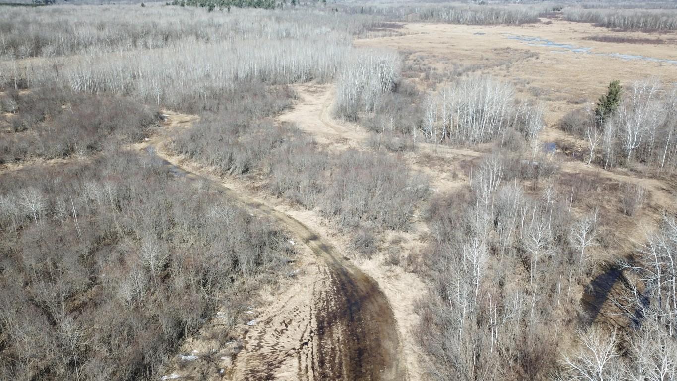 Chuckie - 120 Acres Cushing - 3.jpeg