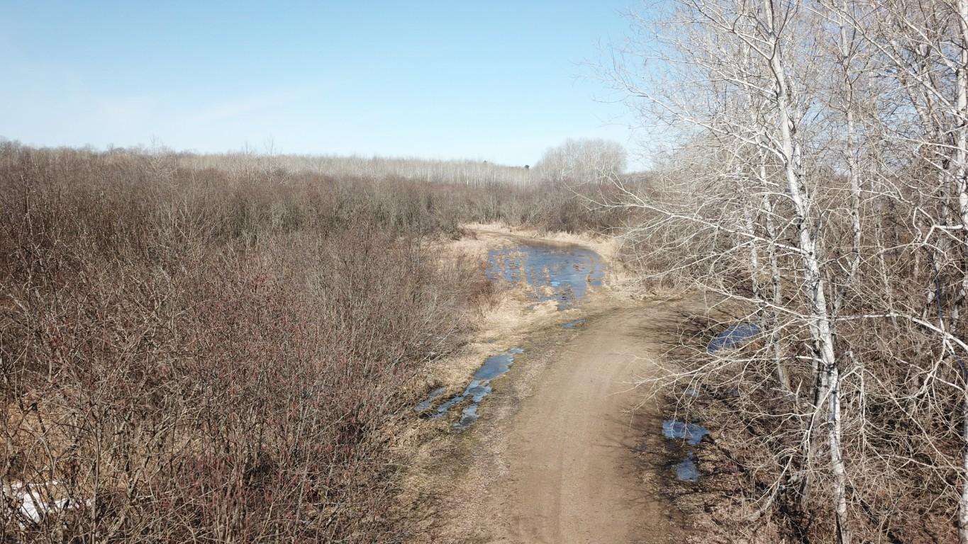 Chuckie - 120 Acres Cushing - 1.jpeg