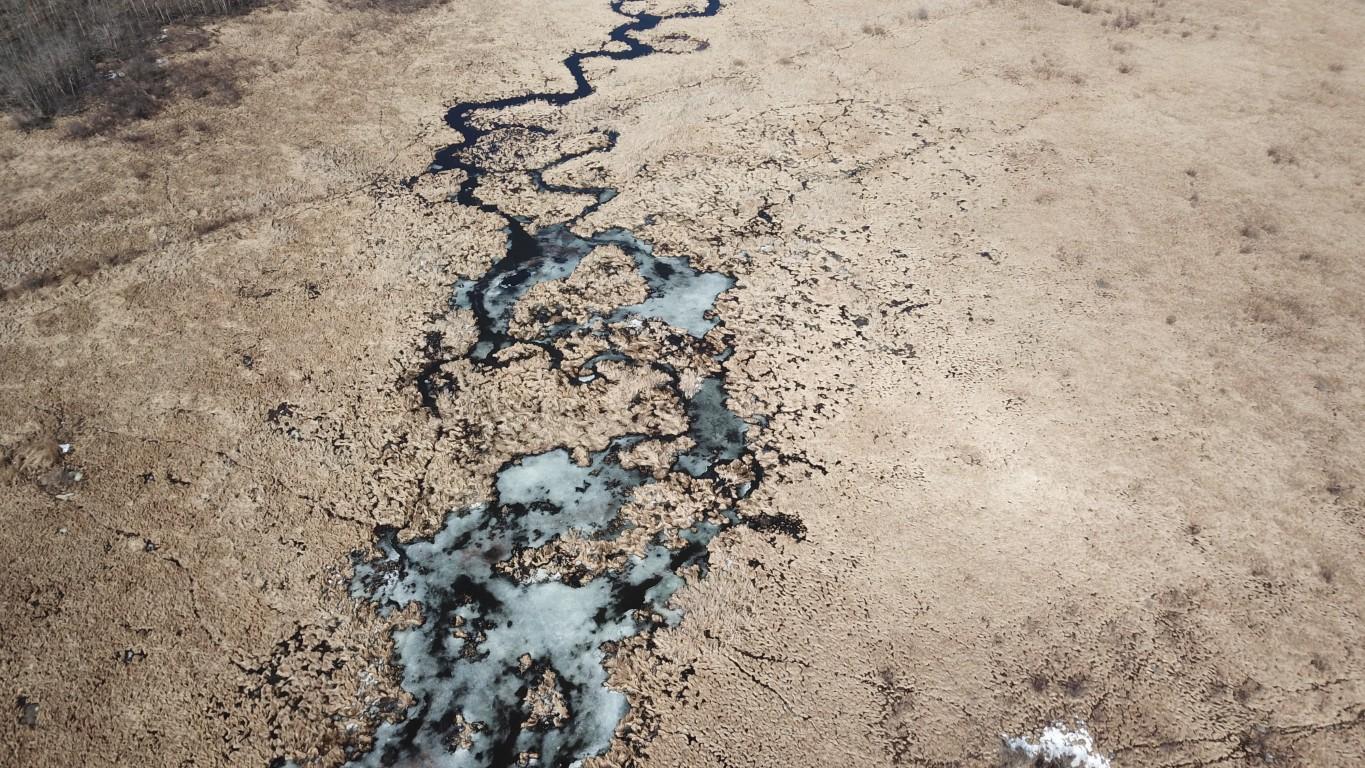 Chuckie - 120 Acres Cushing - 7.jpeg