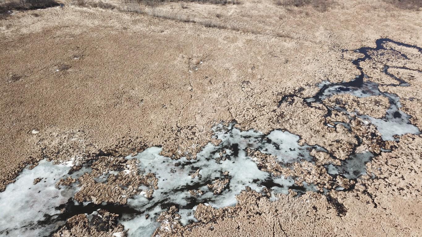 Chuckie - 120 Acres Cushing - 8.jpeg