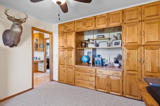534 Lake Shore Drive, Sauk Centre, MN 56378
