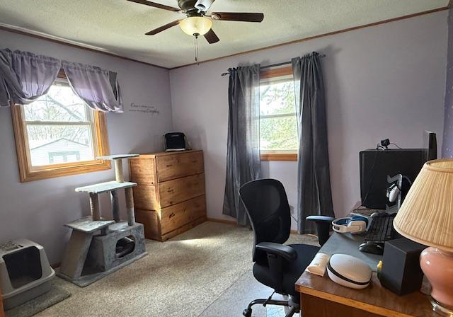 Main Floor Bedroom # 2