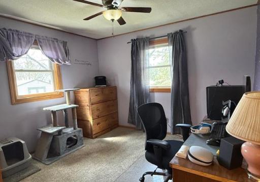 13 N Muyres Avenue, Carlos, MN 56319