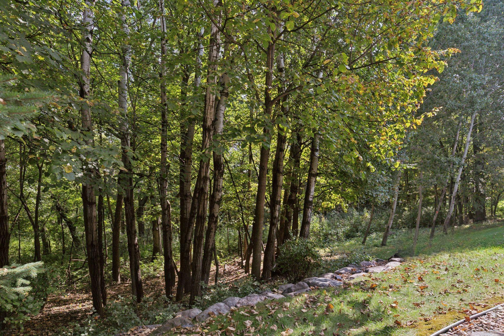 Enjoy a wooded setting that feels like you are Up North without leaving this fantastic in-town location.