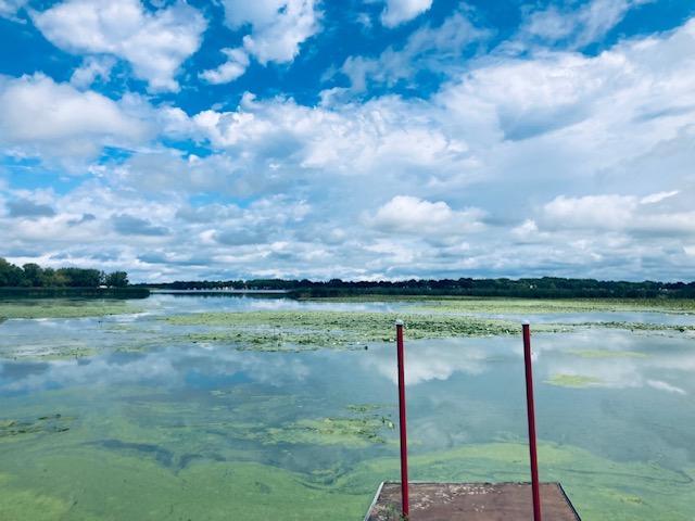 lake 2.jpg
