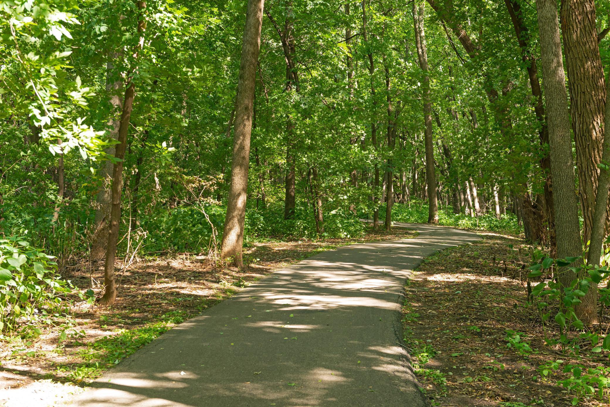 Otsego County Park 6.jpg