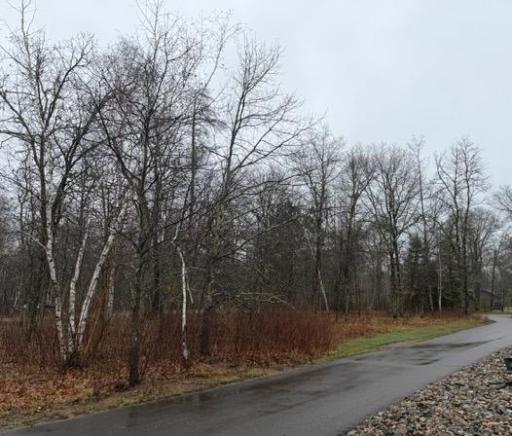 14027 Shafer Road, Crosslake, MN 56442