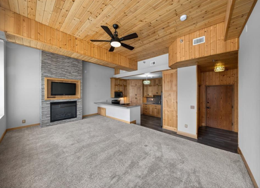 201 Ridgeview Lane S, 201, Lanesboro, MN 55949