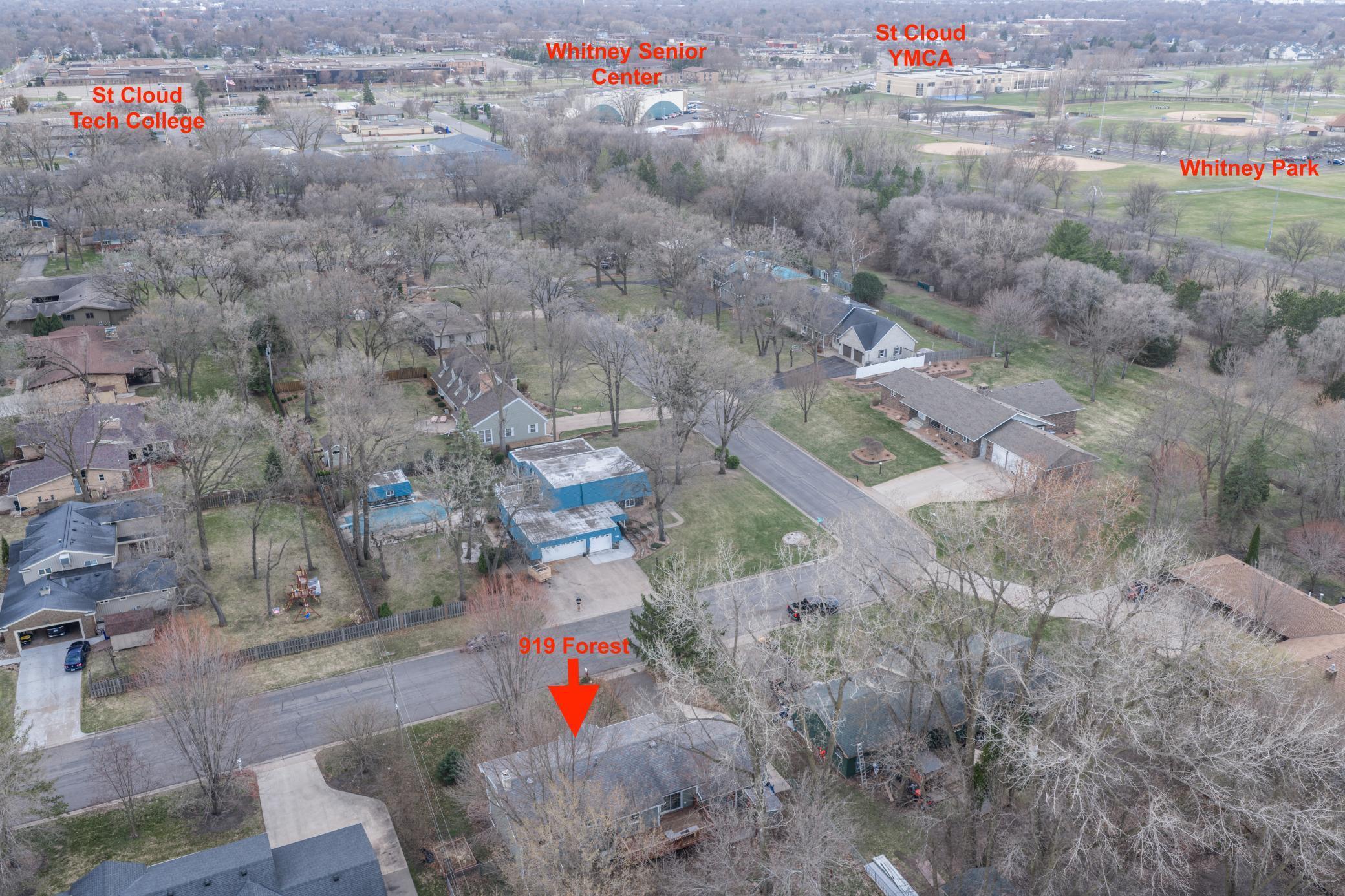 919 Forest 2.jpeg