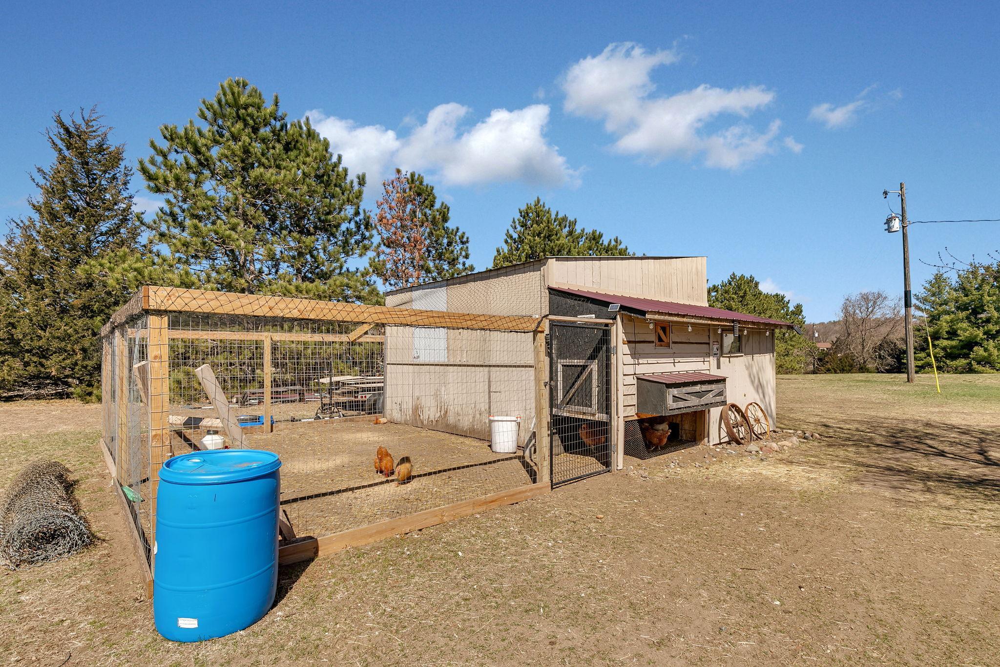 Chicken Coop