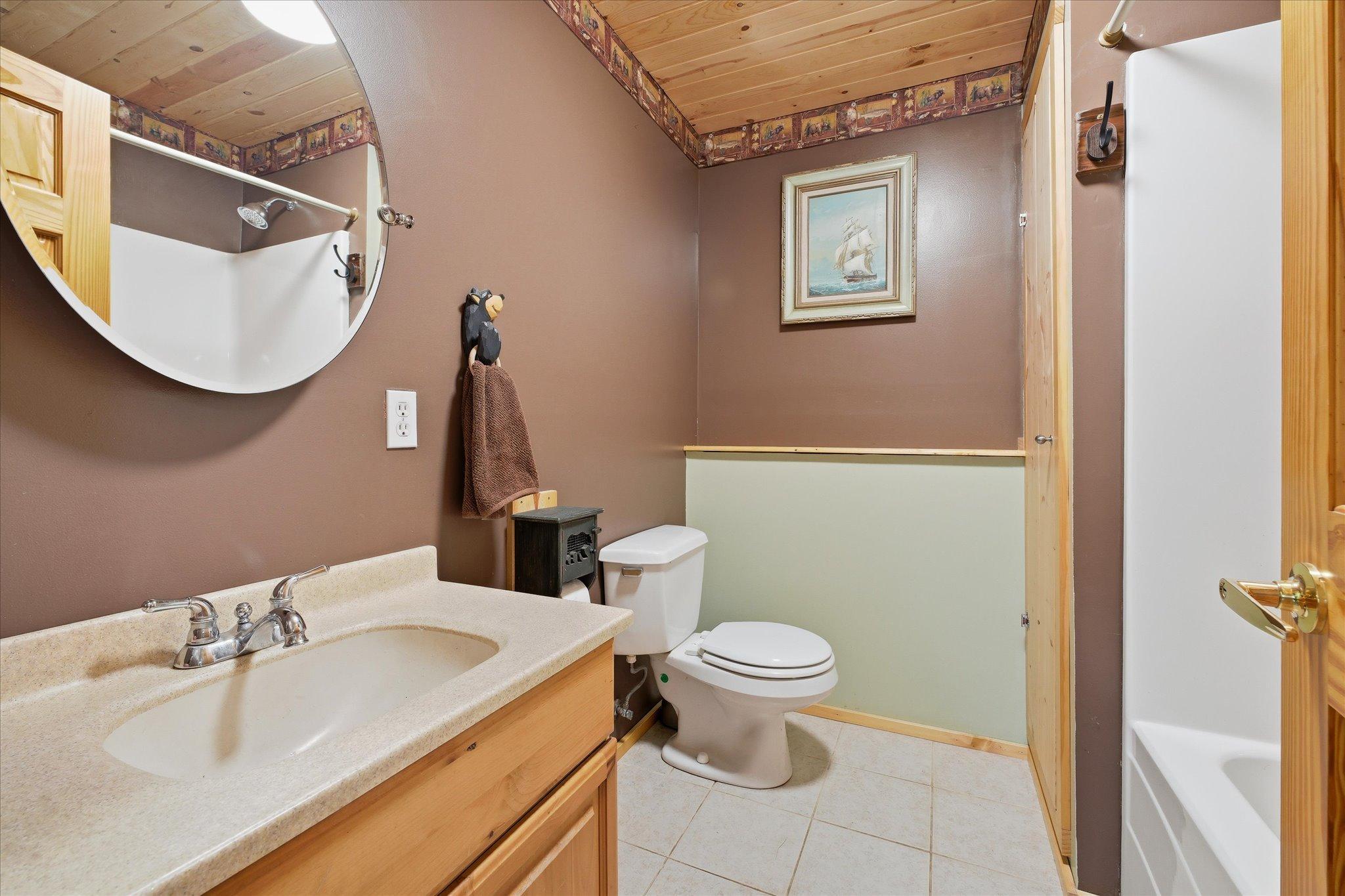 Lower level full bathroom