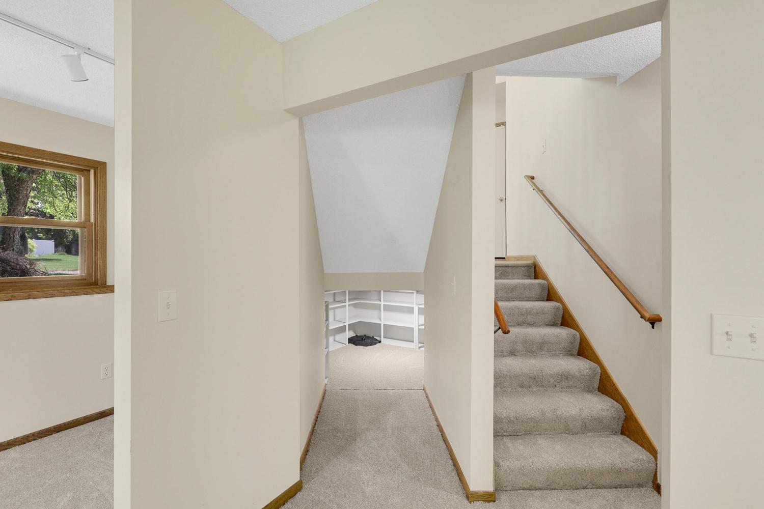 Stairs to the lower level. Storage area under the stairs.