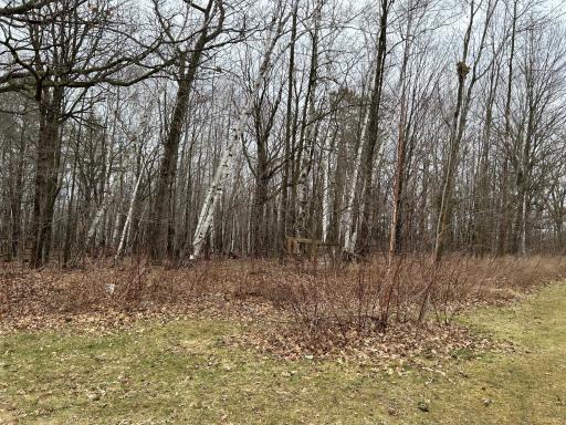 39178 Timber Trail Road, Onamia, MN 56359