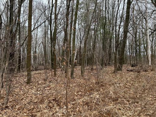 39178 Timber Trail Road, Onamia, MN 56359