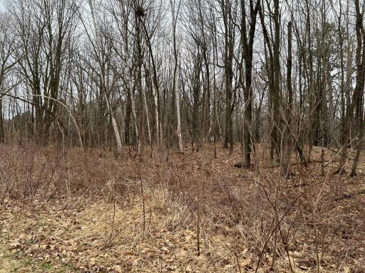 39178 Timber Trail Road, Onamia, MN 56359