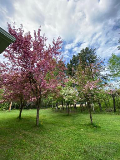 2163 Fors Road, Two Harbors, MN 55616