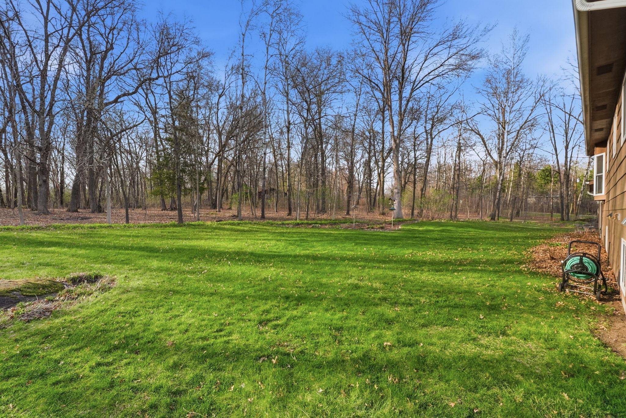Backyard with Underground Sprinklers