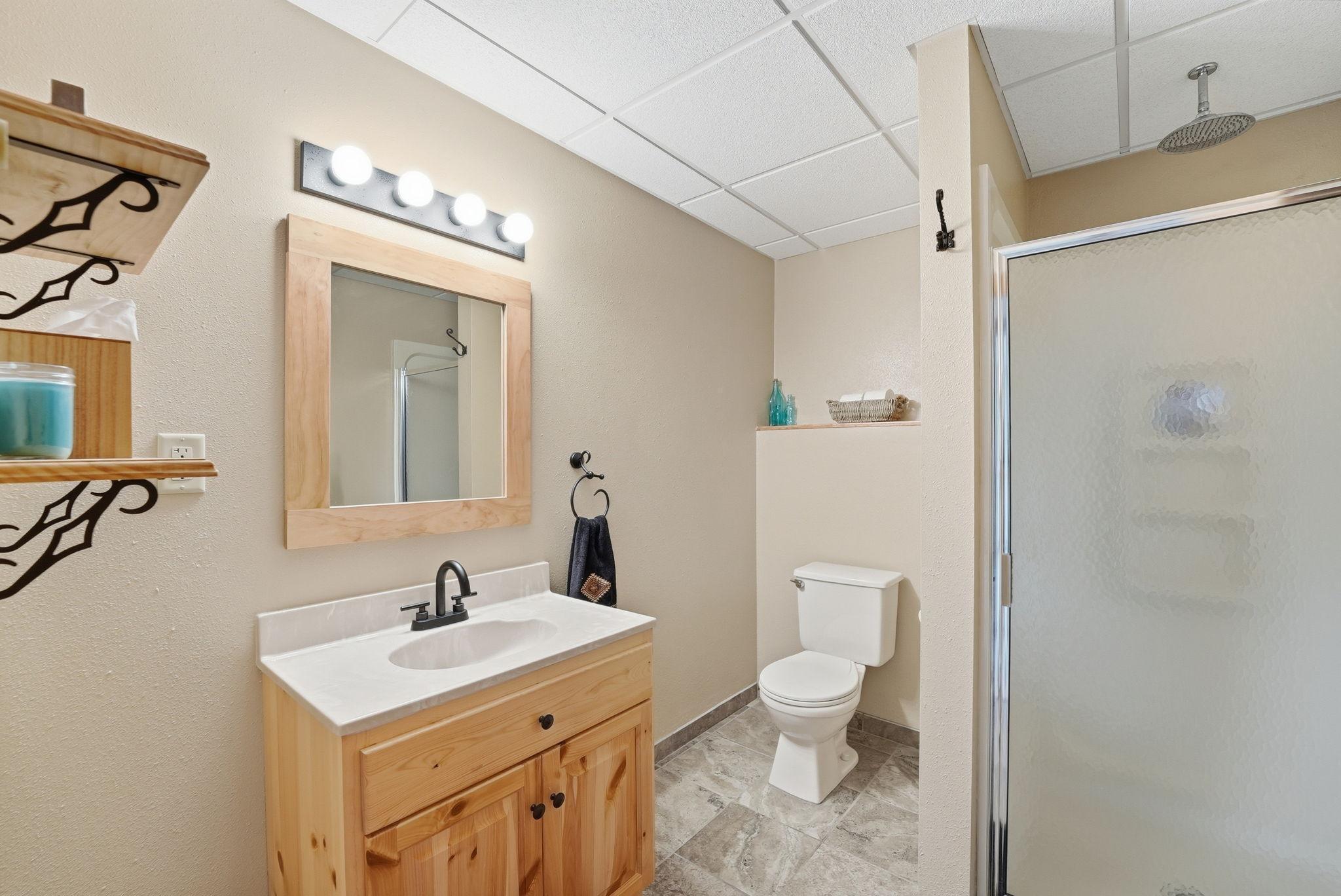 Lower Level 3/4 Bathroom
