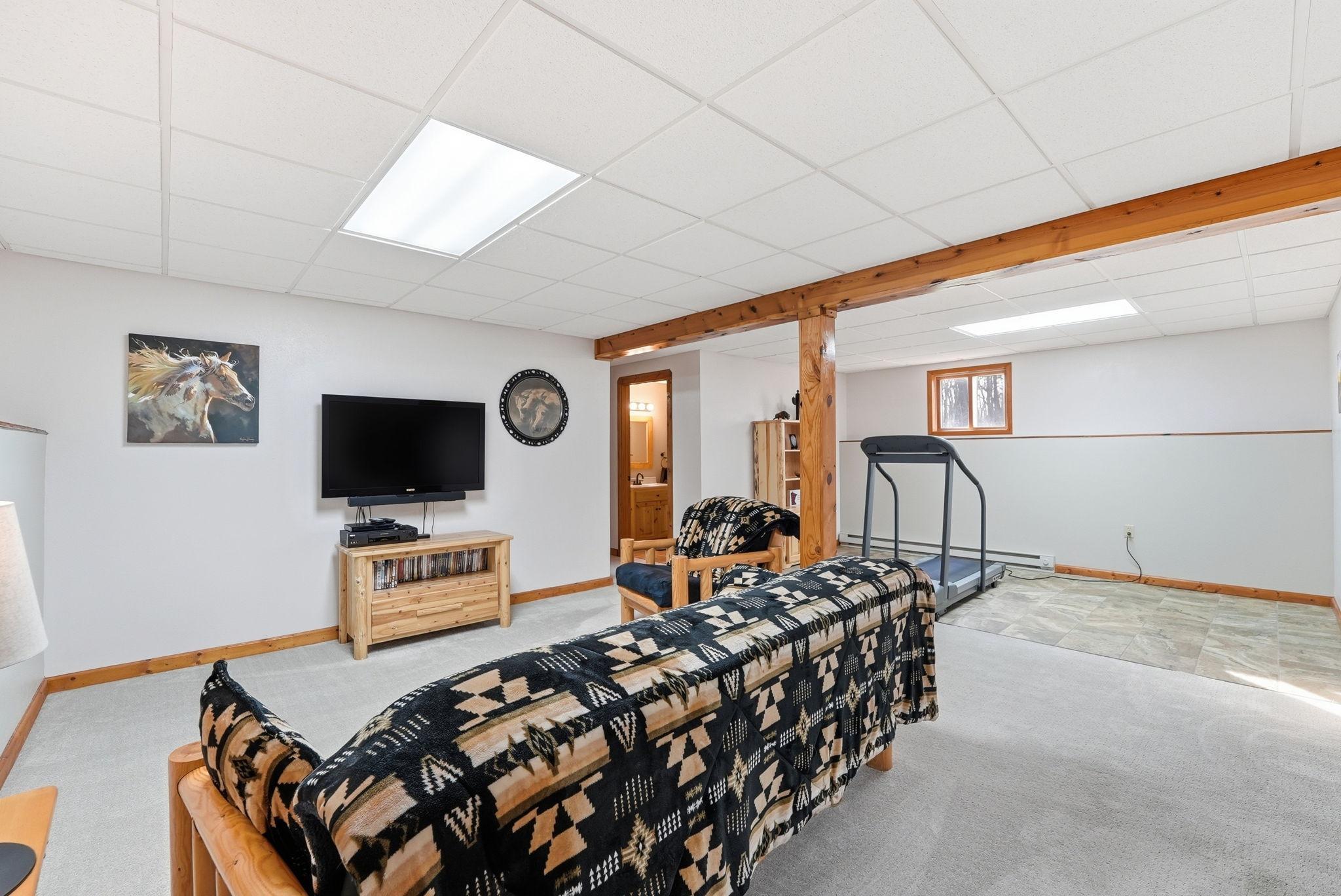 Downstairs Family Room