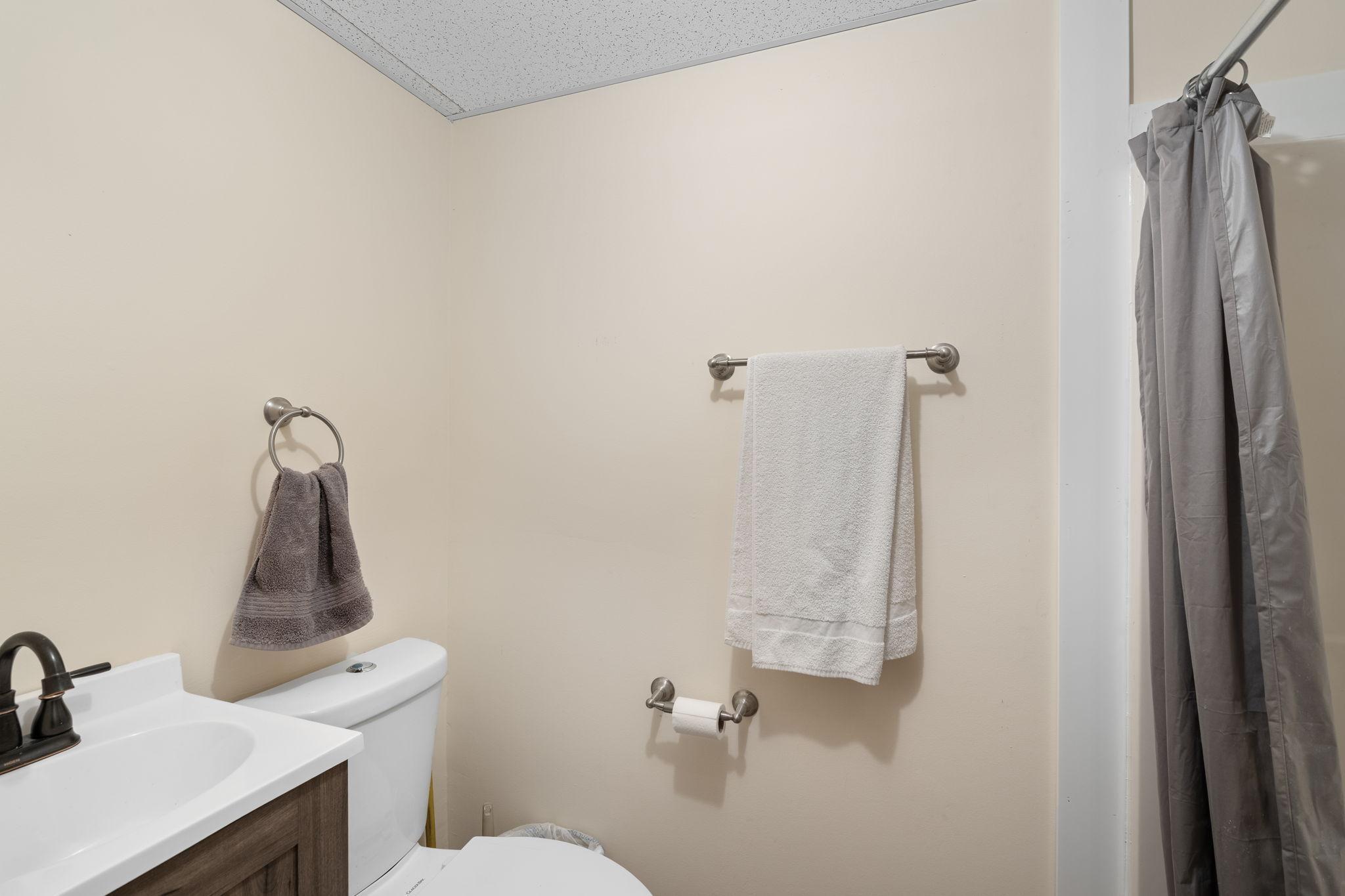 Lower Level Bathroom