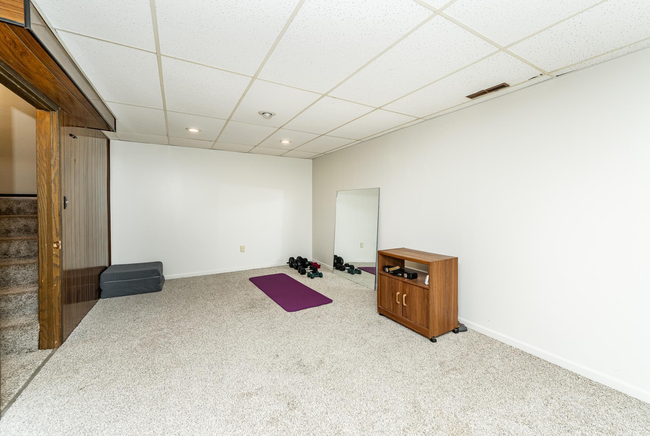 Lower Level Bonus Room___.jpg