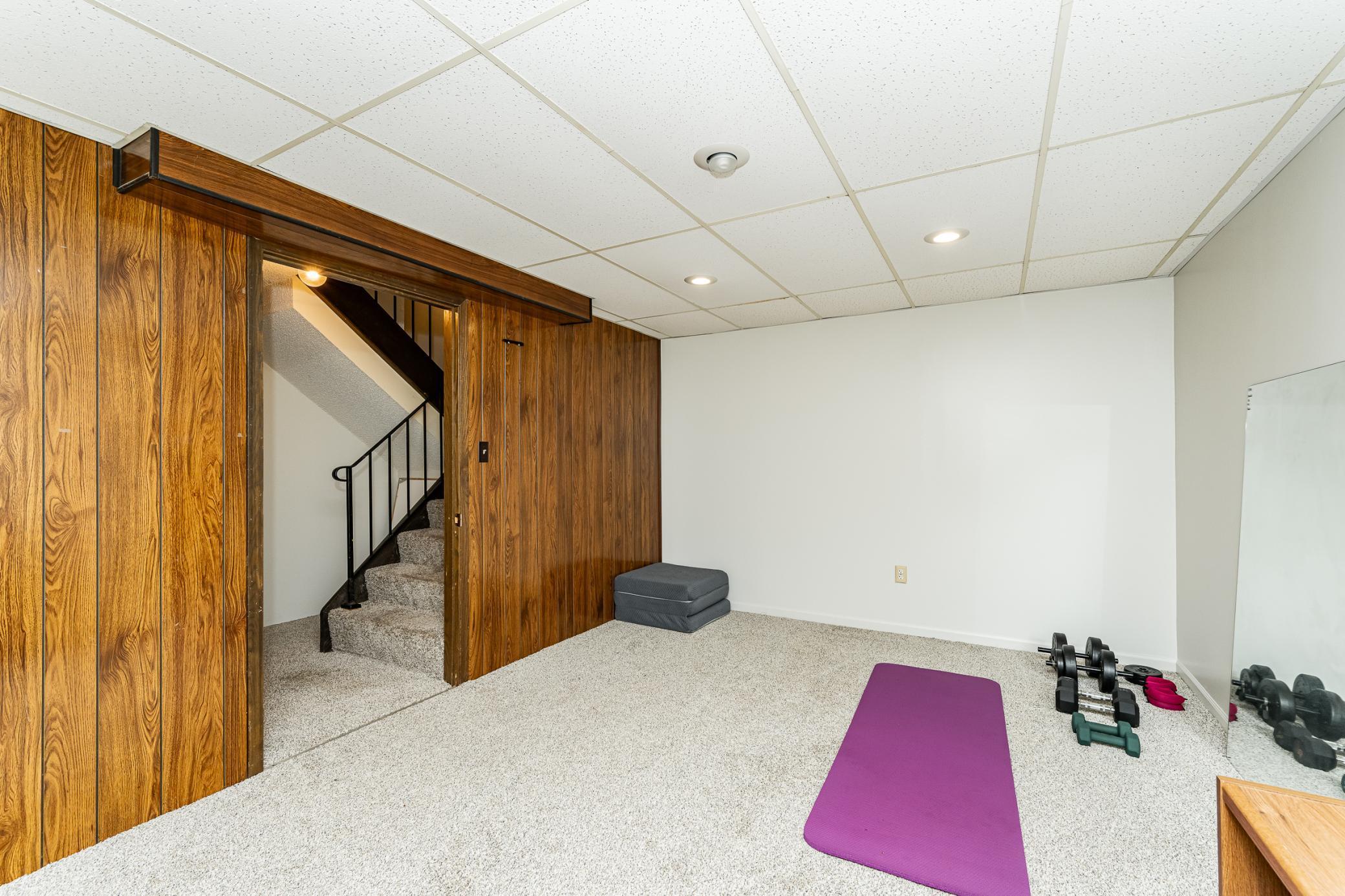 Lower Level Bonus Room.jpg