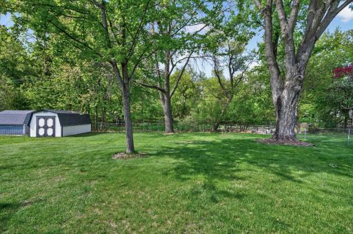 Huge backyard with mature trees providing shade & 9x15 storage shed with skylight