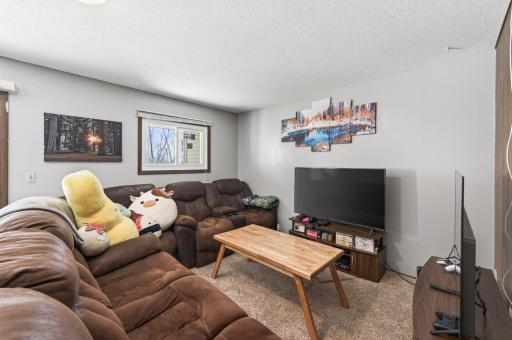 Lower level Family Room