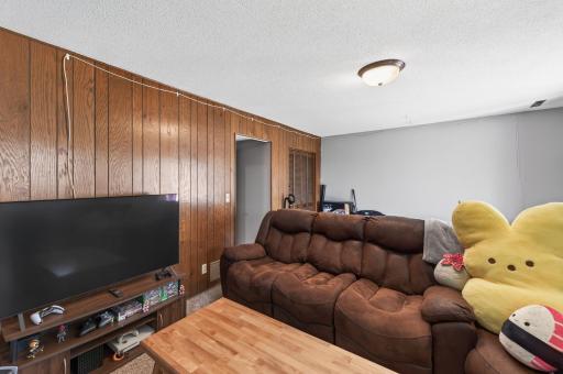 Lower Level Family Room