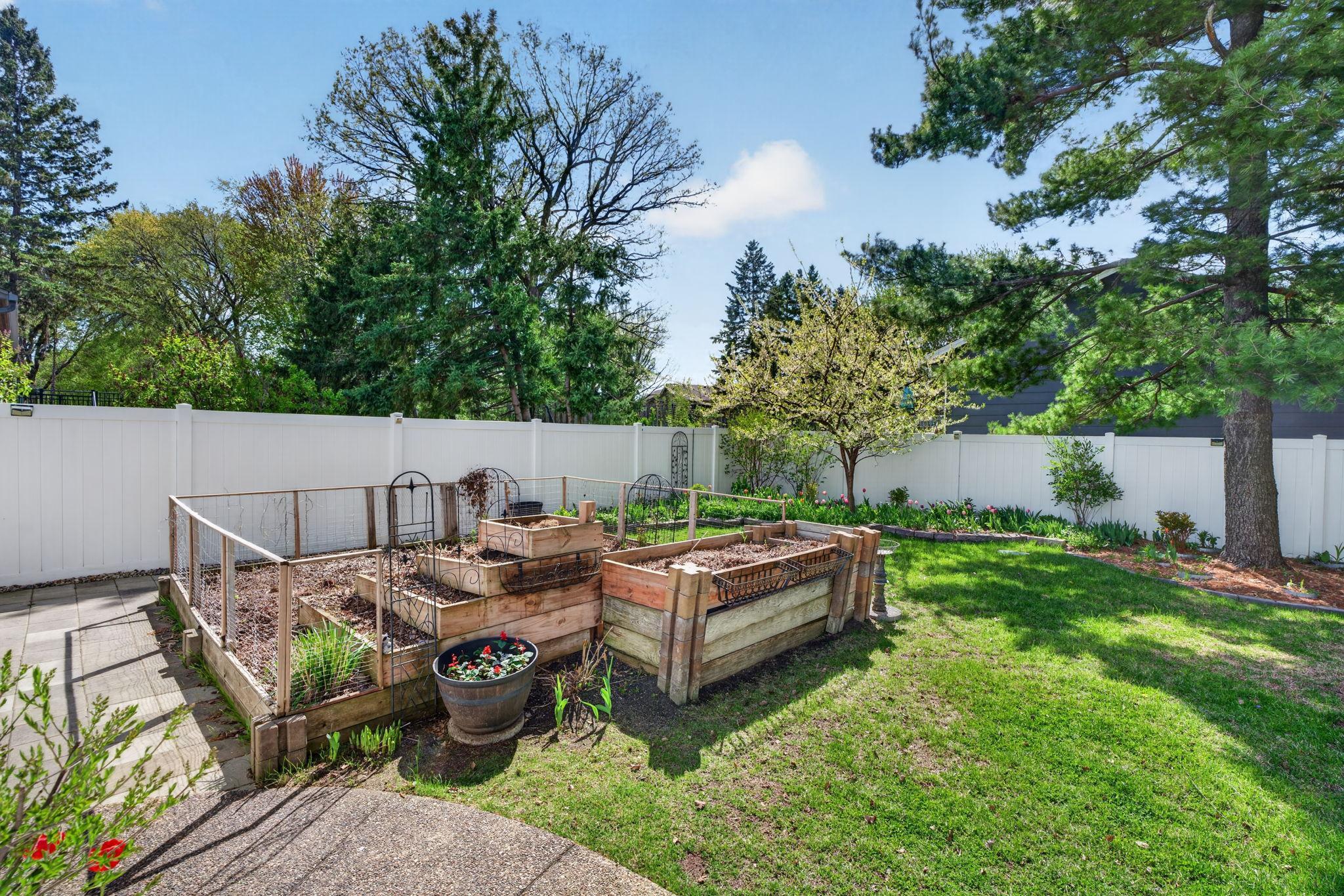 Raised garden beds ready for planting