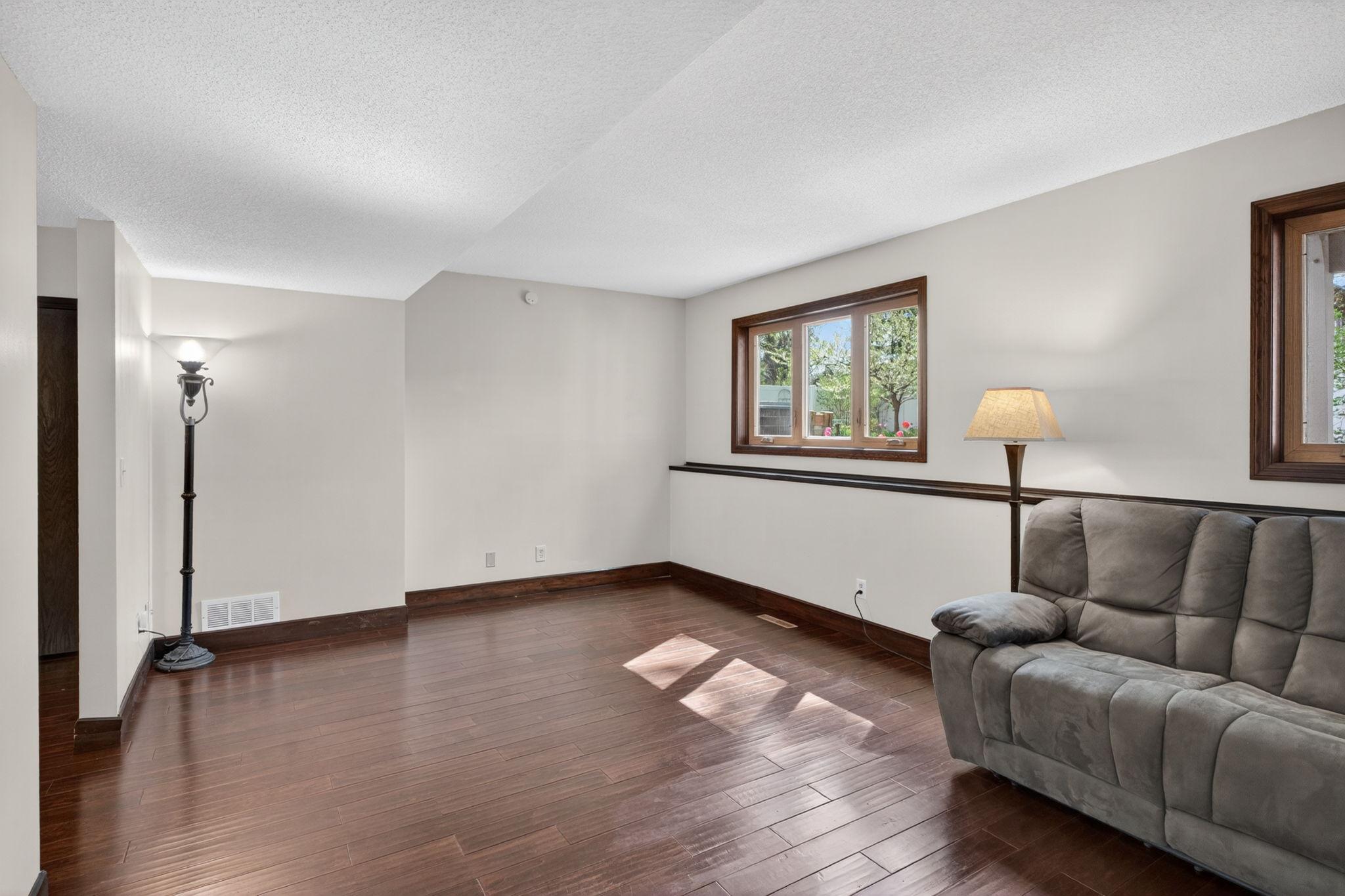 Lower level family room