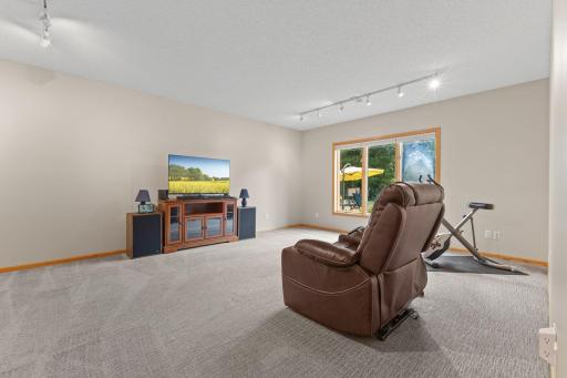 20x 15 lower level fourth bedroom overlooks the pool and patio area.