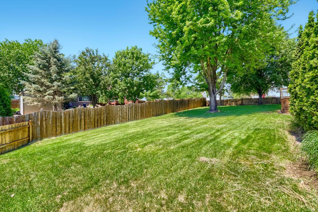 Backyard.jpg