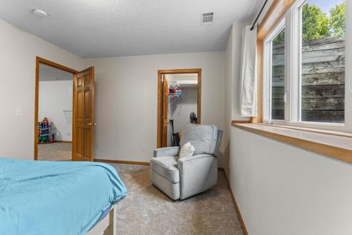 1132 Falls Circle, Chaska, MN 55318