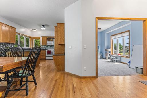 1132 Falls Circle, Chaska, MN 55318
