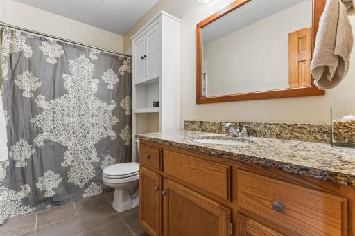 1132 Falls Circle, Chaska, MN 55318