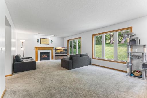 1132 Falls Circle, Chaska, MN 55318