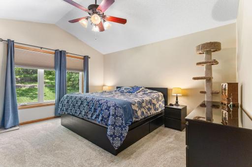 1132 Falls Circle, Chaska, MN 55318
