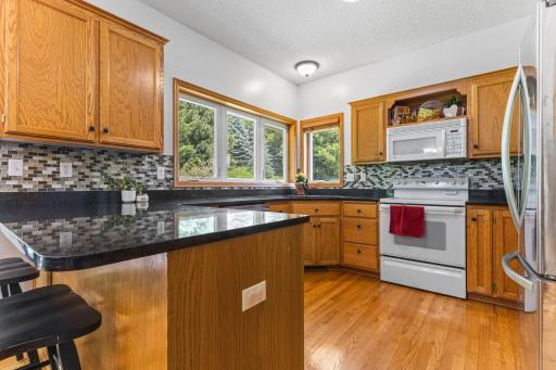 1132 Falls Circle, Chaska, MN 55318