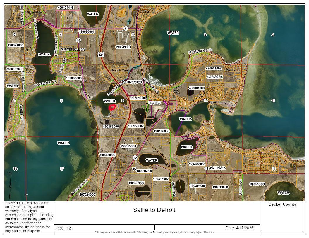 Sallie to Detroit.jpg