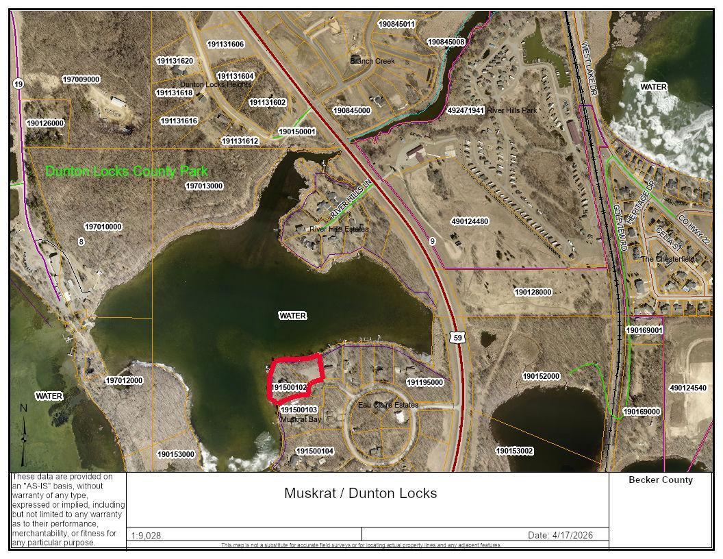 Muskrat : Dunton Locks.jpg