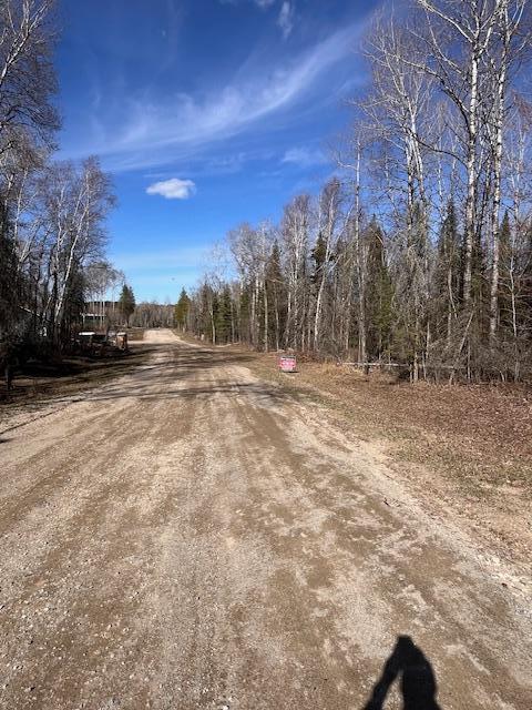 Lot is on the right - medium to heavy tree coverage where wild life abounds.