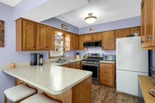12061 Ilex Street NW, Minneapolis, MN 55448