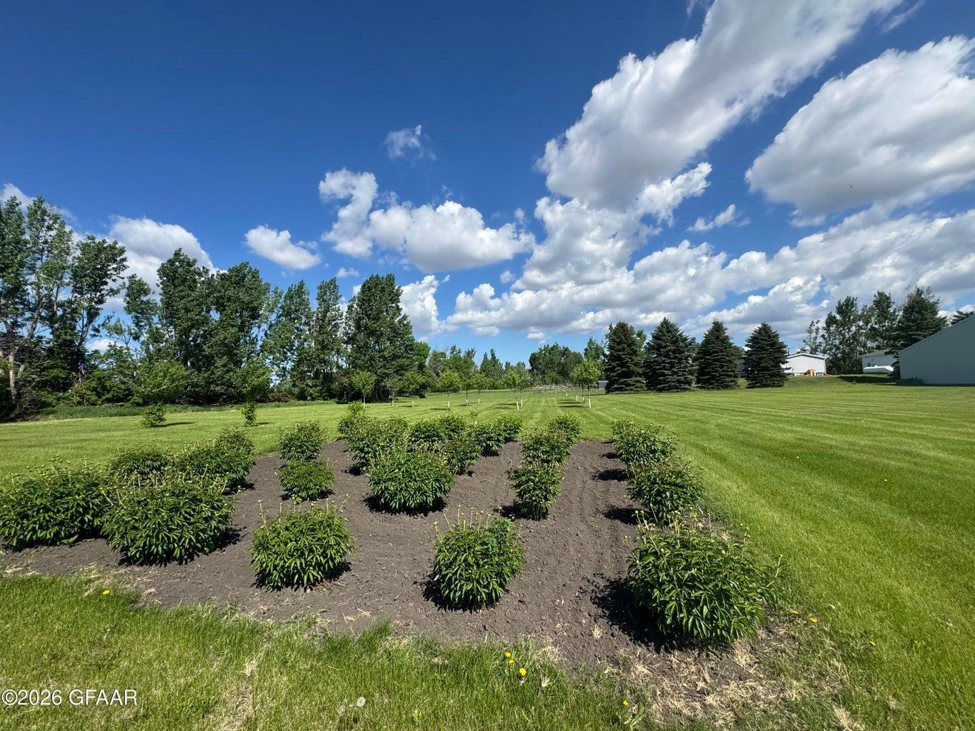 Erickson flower garden.jpg