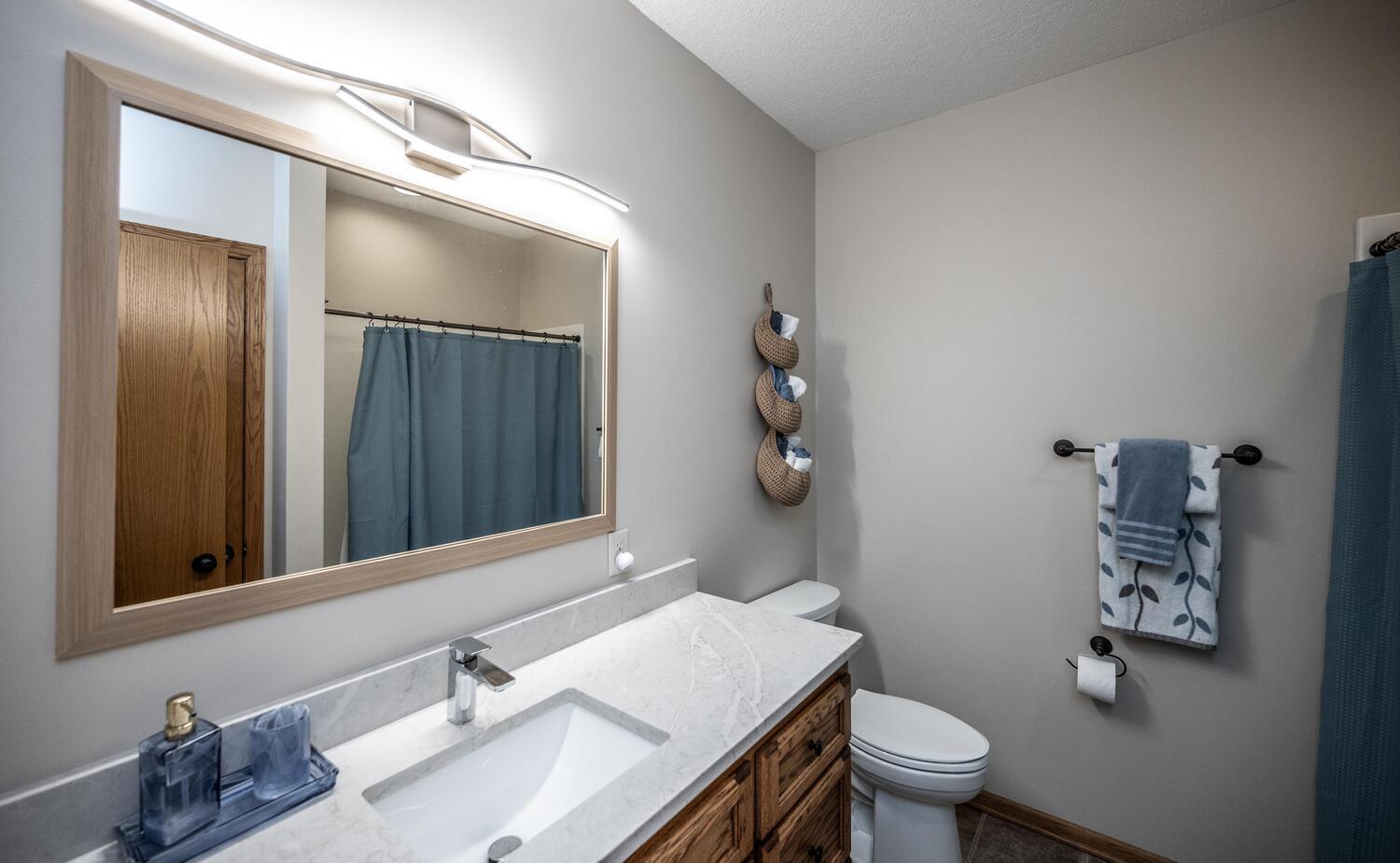 Lower Level Bathroom