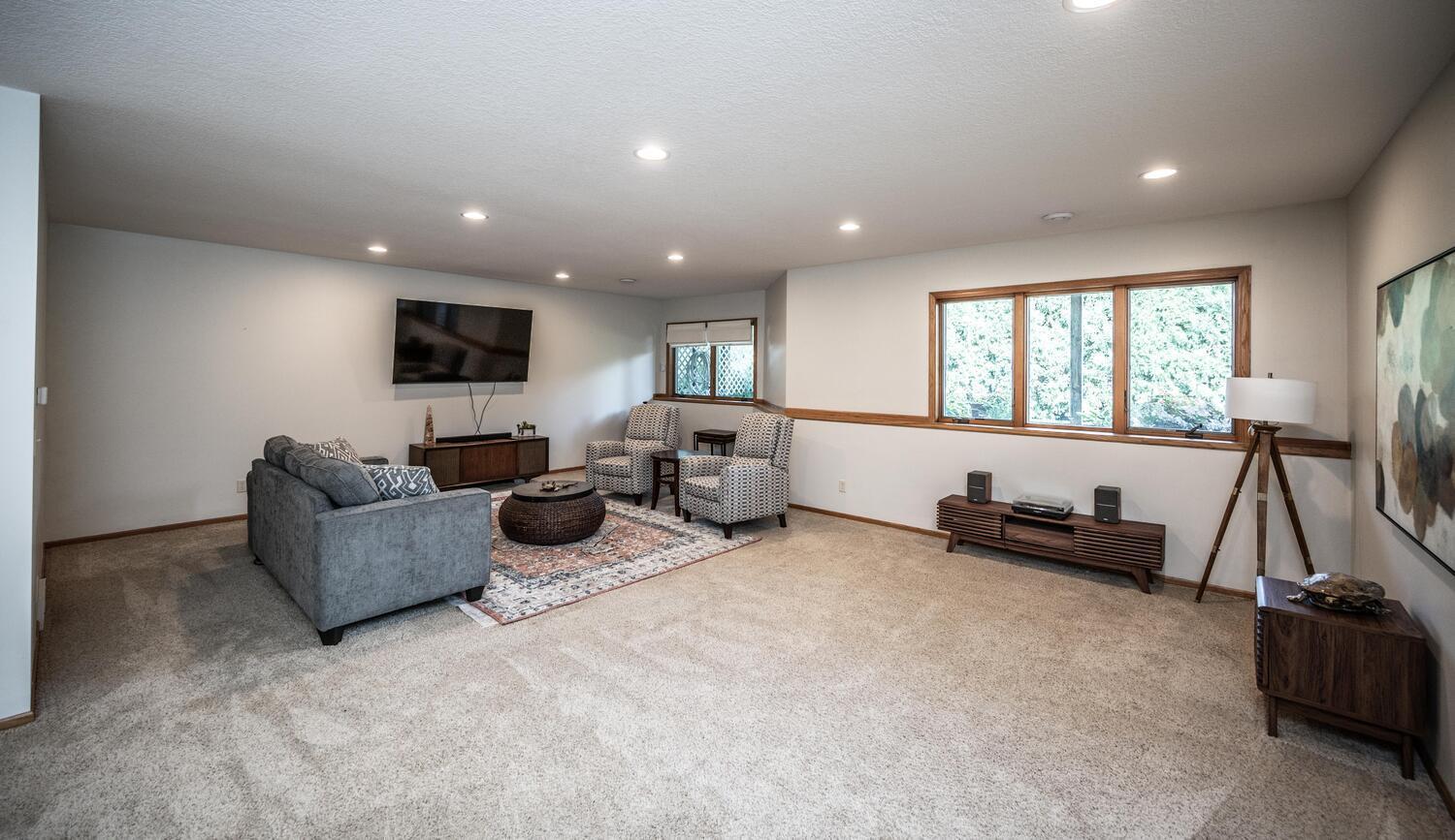 Lower Level Family Room