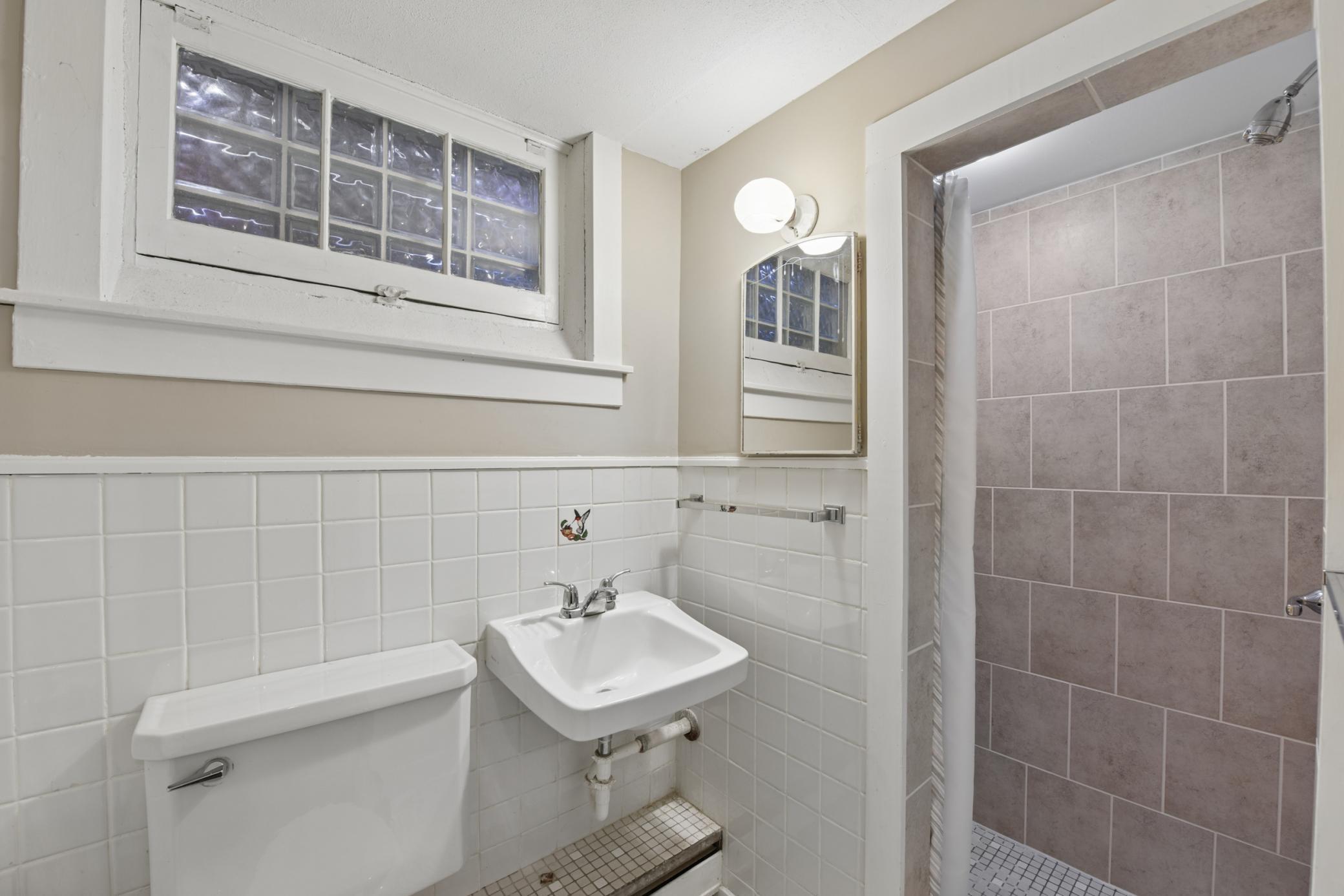 Lower Level Bathroom