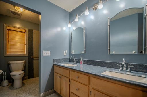 13856 Essex Trail, Saint Paul, MN 55124
