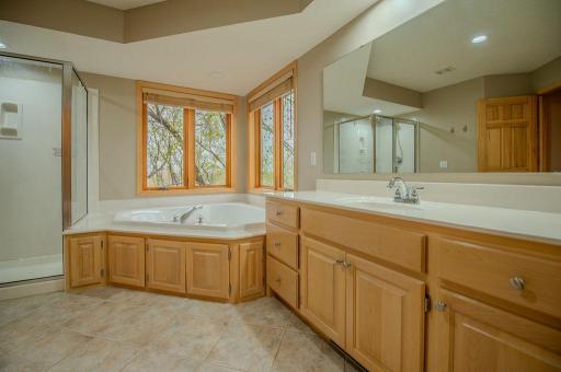 13856 Essex Trail, Saint Paul, MN 55124